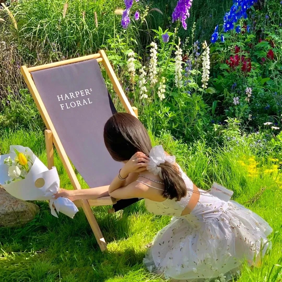 古埃及十大发现